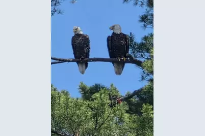 426 Martin Road, Sinclair, ME 04779 - Photo 17