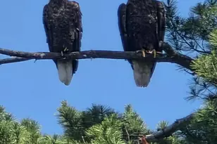 426 Martin Rd, Sinclair, ME 04779 - Photo 17