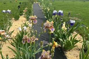 68 Pullen Rd, Dexter, ME 04930 - Photo 11