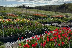 68 Pullen Rd, Dexter, ME 04930 - Photo 9