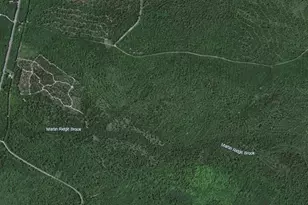 Map10Lot27 Blackswoods Rd, Franklin, ME 04634 - Photo 1