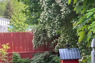 18 Winter St, Millinocket, ME 04462 - Photo 35