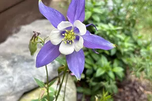 18 Winter St, Millinocket, ME 04462 - Photo 31