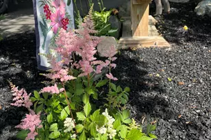 18 Winter St, Millinocket, ME 04462 - Photo 29