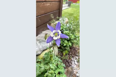 18 Winter Street, Millinocket, ME 04462 - Photo 25