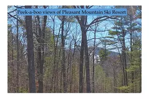 40 Wild Haven Rd, Bridgton, ME 04009 - Photo 49