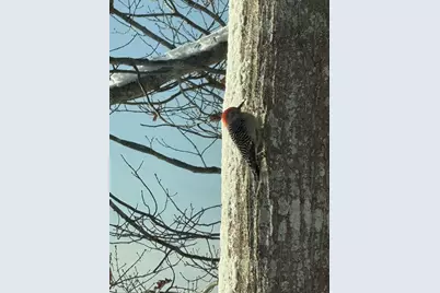 70 Maquoit Drive, Freeport, ME 04032 - Photo 35