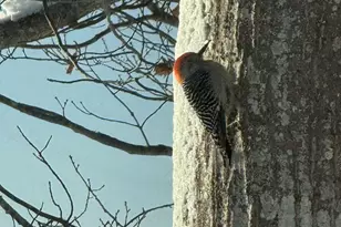 70 Maquoit Dr, Freeport, ME 04032 - Photo 35
