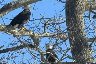 70 Maquoit Dr, Freeport, ME 04032 - Photo 33