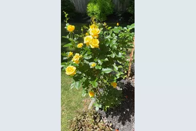 11 Anderson Avenue, Westbrook, ME 04092 - Photo 21