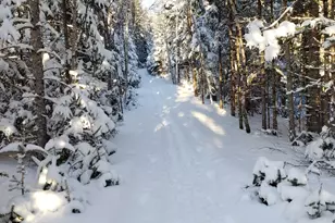 27 Prairie Rd, Salem Twp, ME 04983 - Photo 93