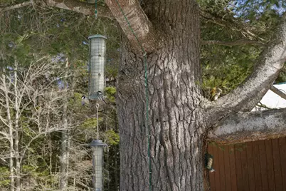 27 Prairie Road, Salem Twp, ME 04983 - Photo 75