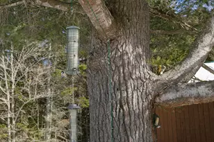 27 Prairie Rd, Salem Twp, ME 04983 - Photo 75