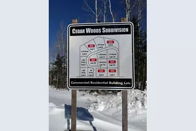 Lot #14 Greenville Steam Road, Greenville, ME 04441 - Photo 3