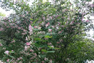 16 Mann Rd, Shapleigh, ME 04076 - Photo 43