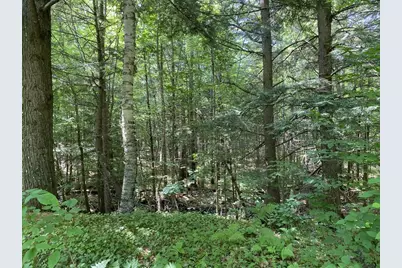 42 Dixfield Road, Weld, ME 04285 - Photo 79