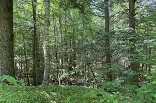 42 Dixfield Rd, Weld, ME 04285 - Photo 79