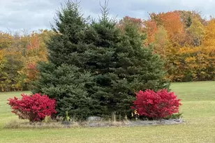 222 Gagnon Rd, Madawaska, ME 04756 - Photo 11