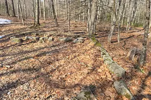 316 Pond Rd, Wayne, ME 04284 - Photo 147