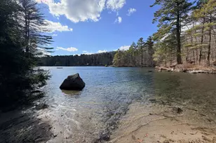 3 Coffee Pond Rd, Casco, ME 04015 - Photo 5