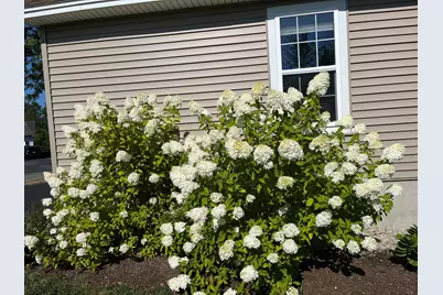 45 Buca Run, Portland, ME 04103 - Photo 57