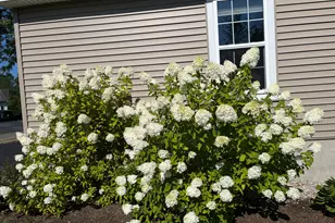 45 Buca Run, Portland, ME 04103 - Photo 57