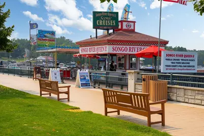 432 Meadow Road, Casco, ME 04015 - Photo 63