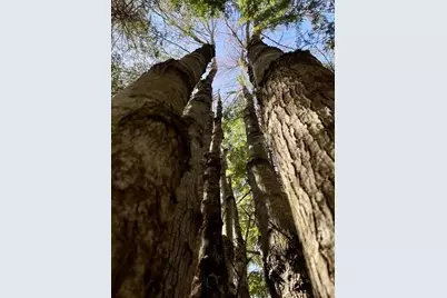 80 Wheaton Way, Bradford, ME 04410 - Photo 37