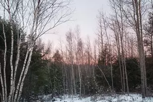 Lot # Old Commonwealth, Enfield, ME 04493 - Photo 1