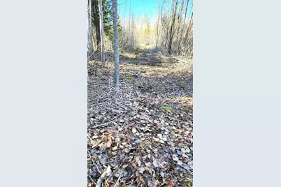 10 Bowling Green Lane, Belfast, ME 04915 - Photo 3