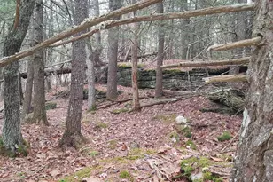 [Address not provided], Windham, ME 04062 - Photo 21