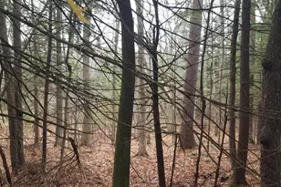 [Address not provided], Windham, ME 04062 - Photo 23