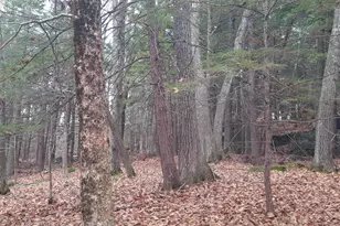 [Address not provided], Windham, ME 04062 - Photo 29