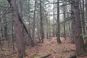 [Address not provided], Windham, ME 04062 - Photo 17