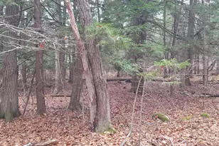 [Address not provided], Windham, ME 04062 - Photo 27