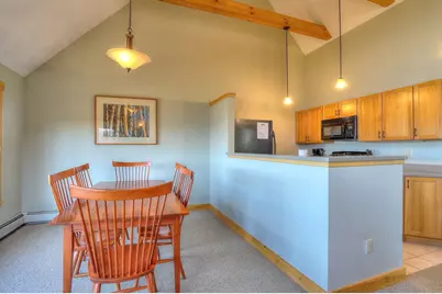 14 Black Gnat - Week C Lane #1069, Sandy River Plt, ME 04970 - Photo 11