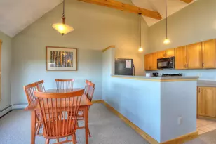 14 Black Gnat - Week C Ln, Sandy River Plt, ME 04970 - Photo 11