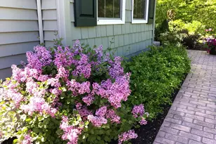 42 Caslyn Dr, Eliot, ME 03903 - Photo 5