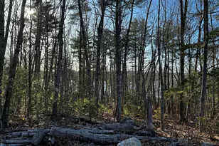 Lot#009-02 Powderhorn Rd, Jefferson, ME 04348 - Photo 1