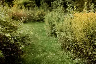 48 Main Rd, Charleston, ME 04422 - Photo 77