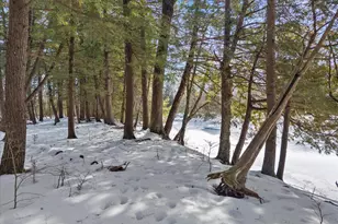 465 Grant Rd, Corinth, ME 04427 - Photo 47