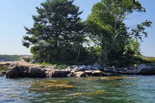 45 Missy Way, Steuben, ME 04680 - Photo 63