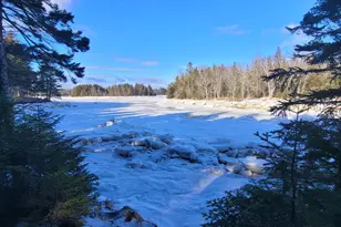 45 Missy Way, Steuben, ME 04680 - Photo 5