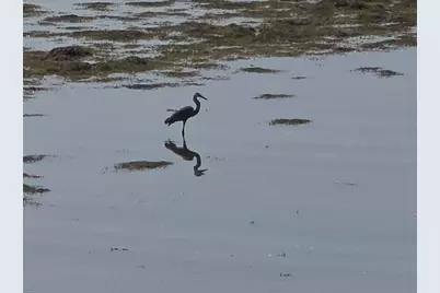 71 E Main Street, Searsport, ME 04974 - Photo 5