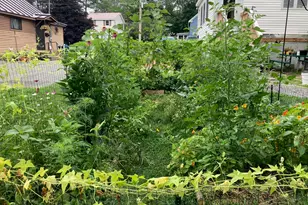 164 Lincoln St, Old Town, ME 04468 - Photo 17