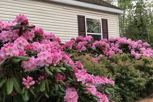 407 Waldoboro Rd, Friendship, ME 04547 - Photo 37