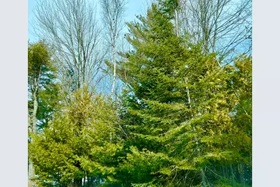 Lot 77-A Long Hill Road, Southwest Harbor, ME 04679 - Photo 1