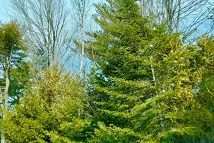 Lot 77-A Long Hill Rd, Southwest Harbor, ME 04679 - Photo 1