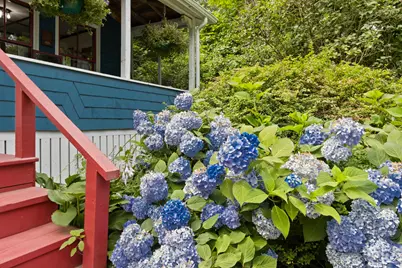 85 Upper A Street, Portland, ME 04108 - Photo 9