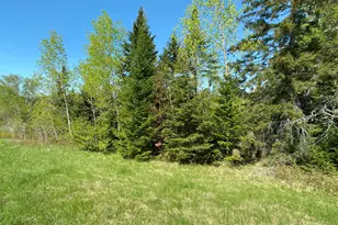 431 Caribou Rd, Presque Isle, ME 04785 - Photo 1